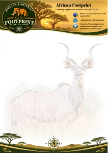 Facebook social media design for African Footprint Company Letterhead