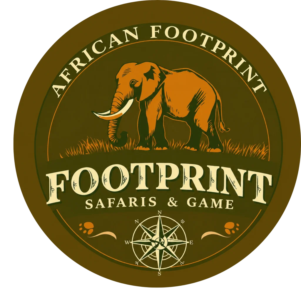 Company logo design for African Footprint