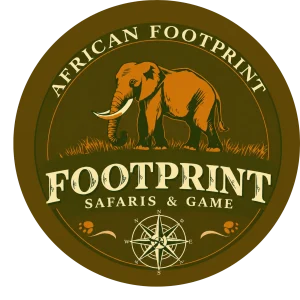 Company logo design for African Footprint
