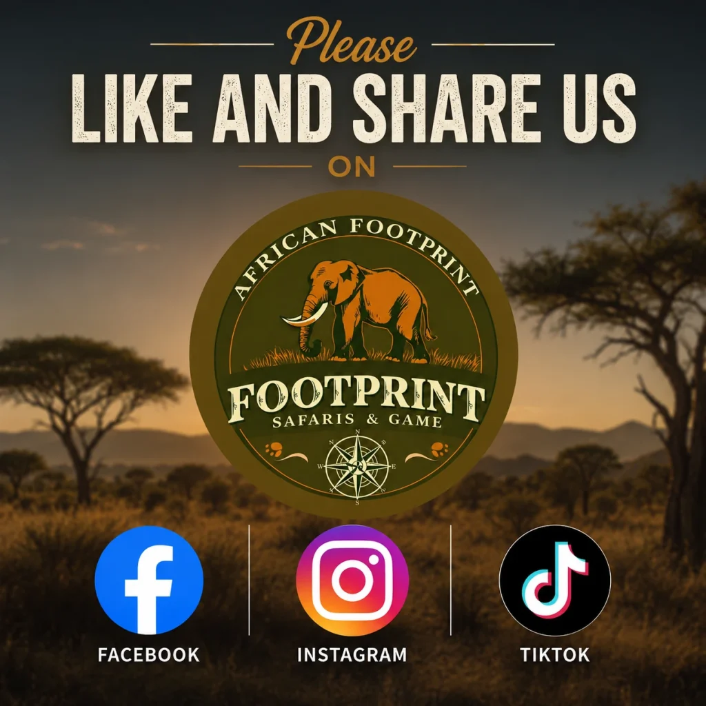 Facebook social media design for African Footprint Add 5